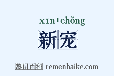 新宠是什么意思的图片